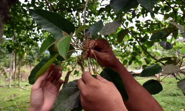 【Day13】勇者的「一起做」