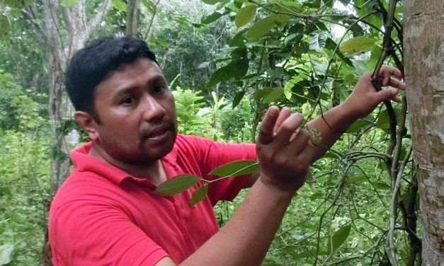 亞齊的夢想家與實踐者Juanda